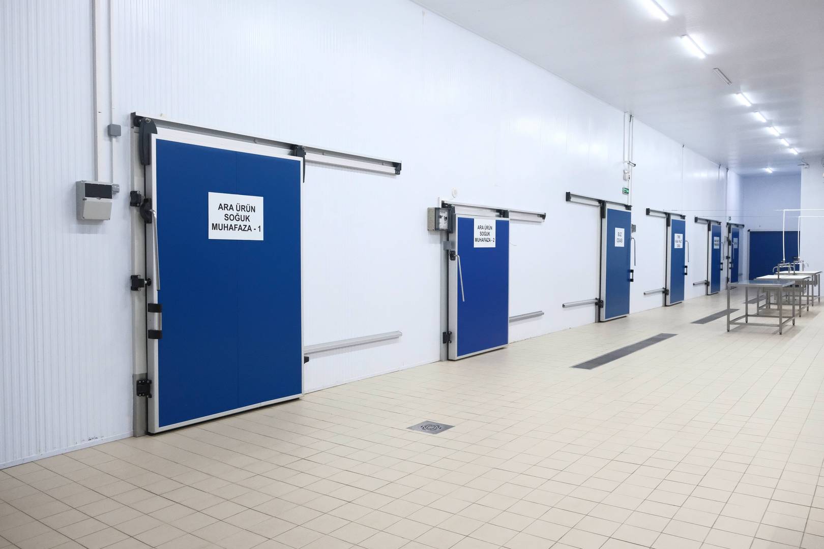 Enlem Balık İşleme Paketleme