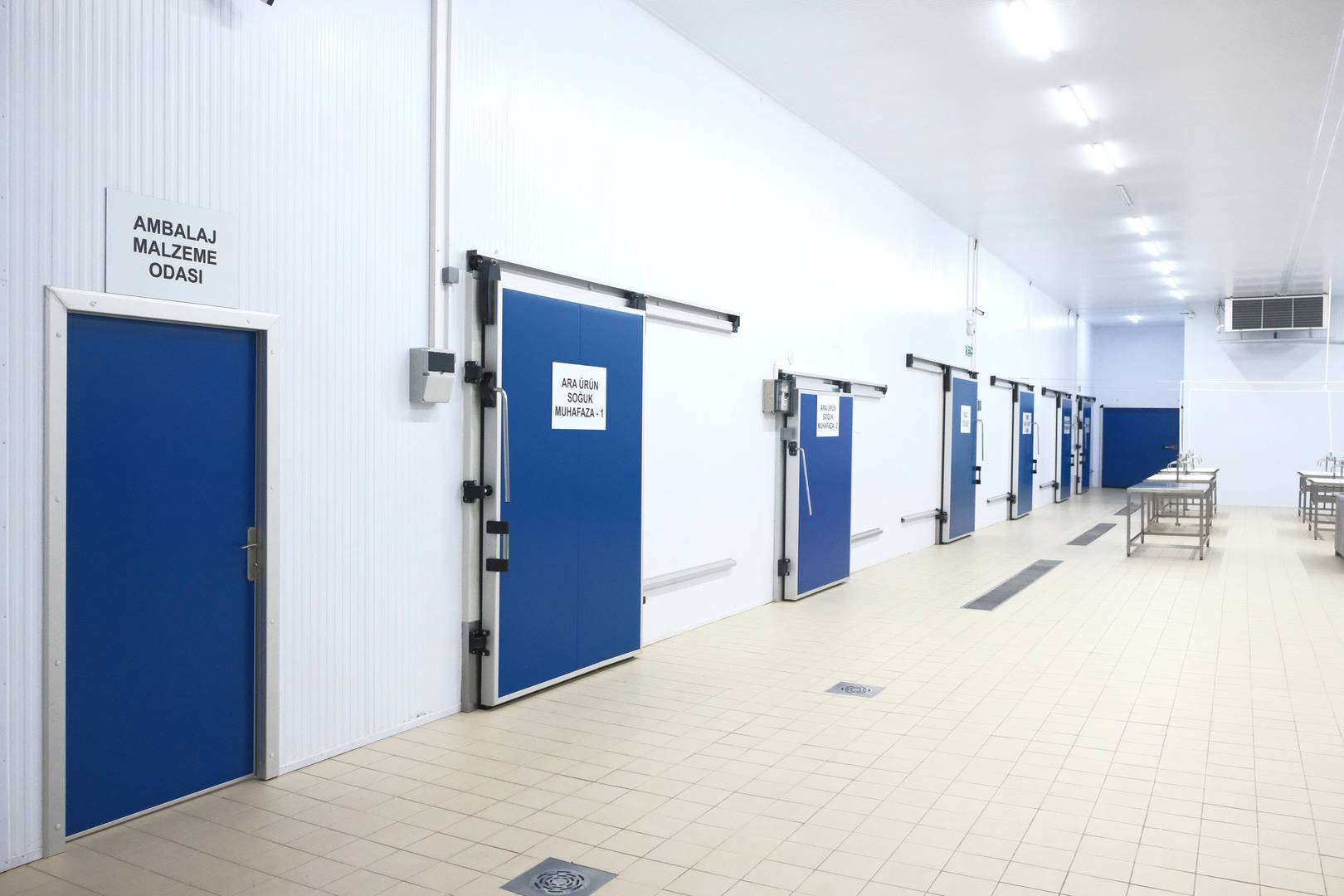 Enlem Balık İşleme Paketleme