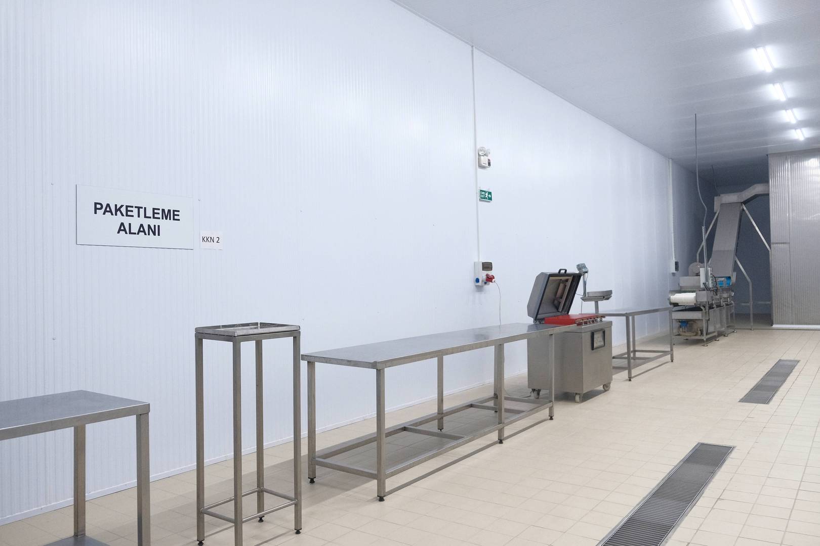 Enlem Balık İşleme Paketleme