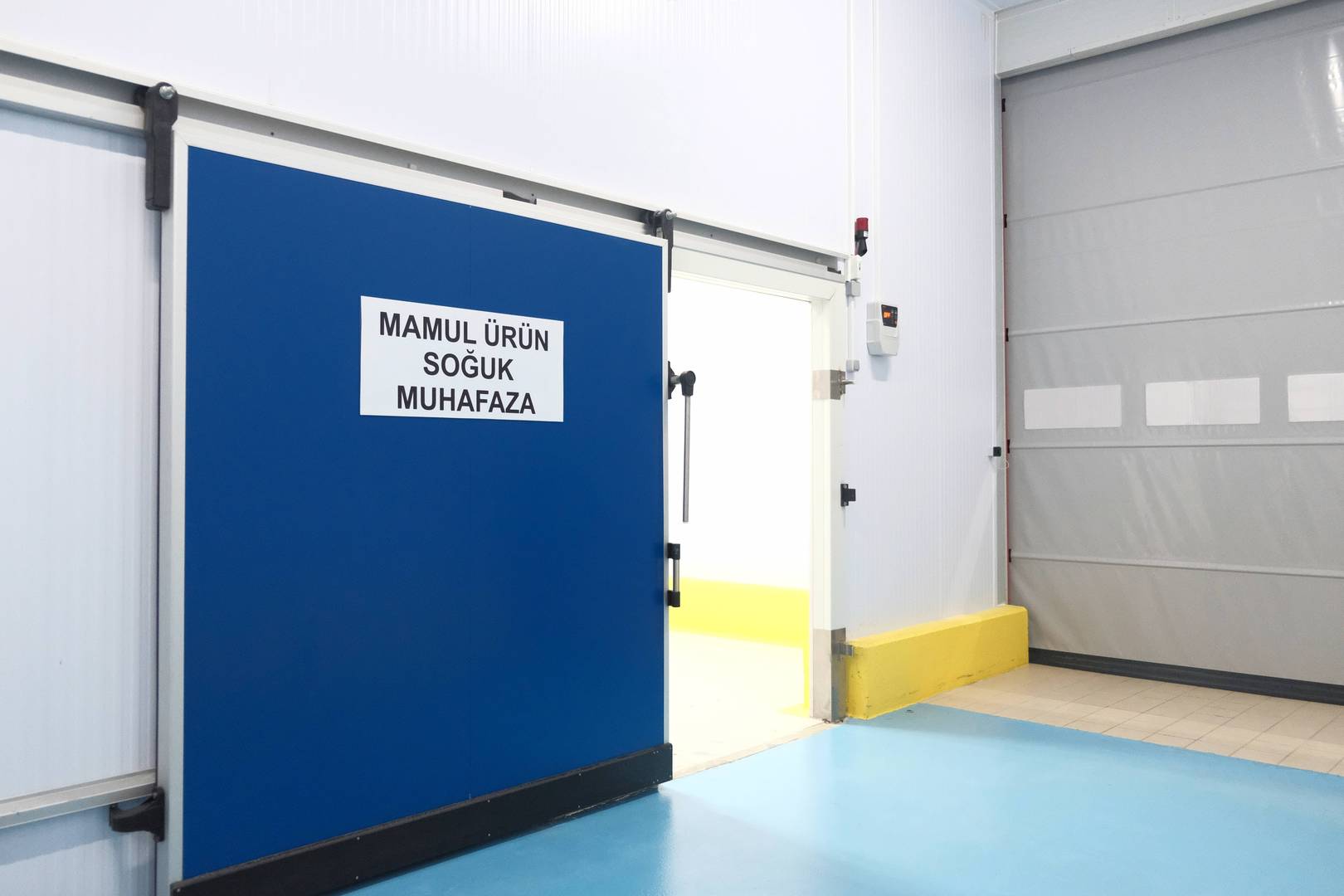 Enlem Balık İşleme Paketleme