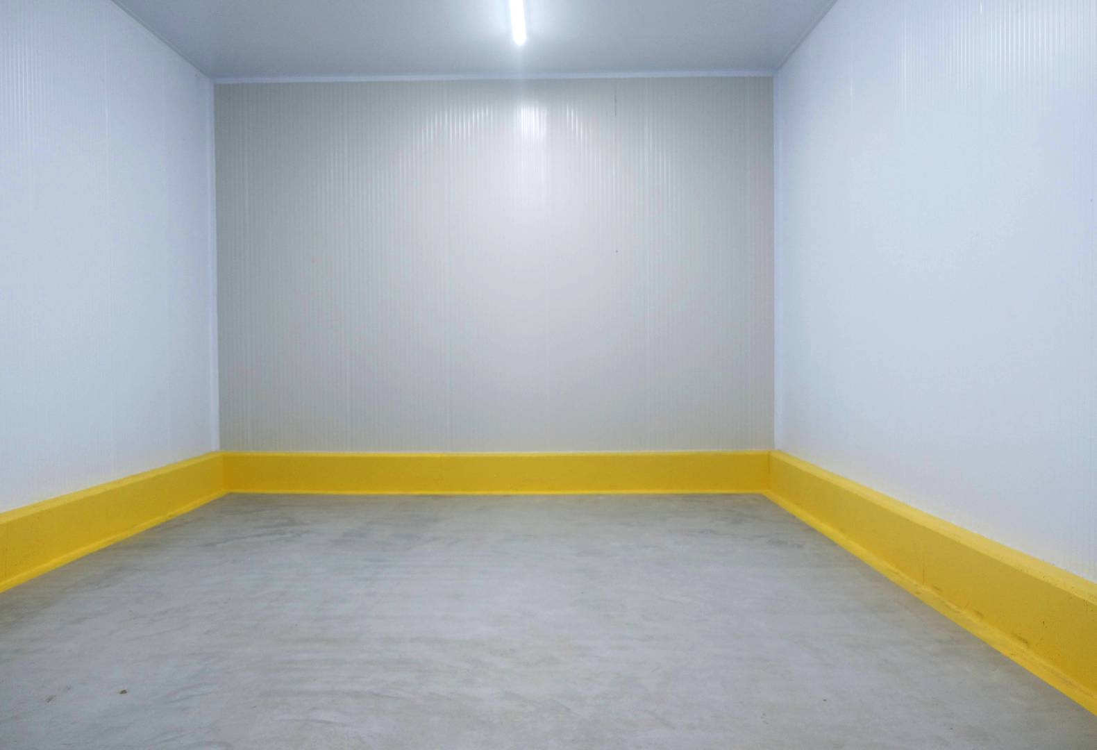 Enlem Balık İşleme Paketleme