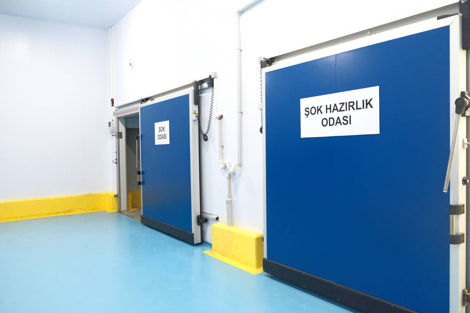 Enlem Balık İşleme Paketleme