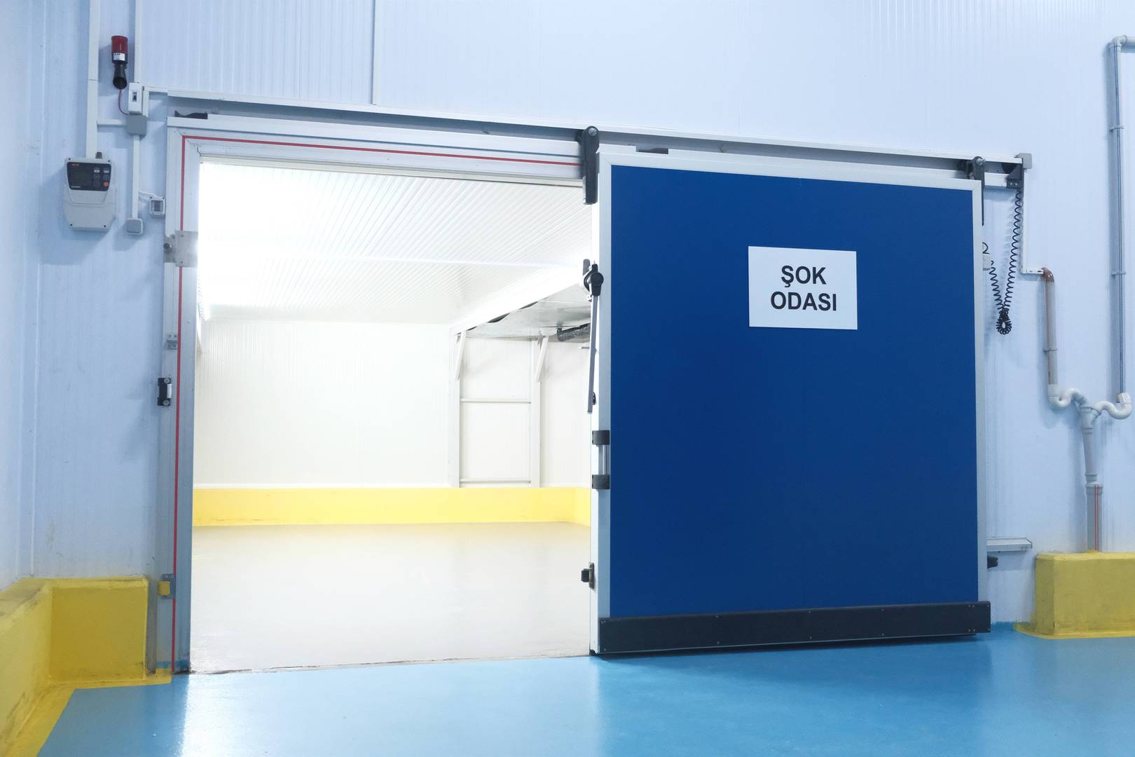 Enlem Balık İşleme Paketleme