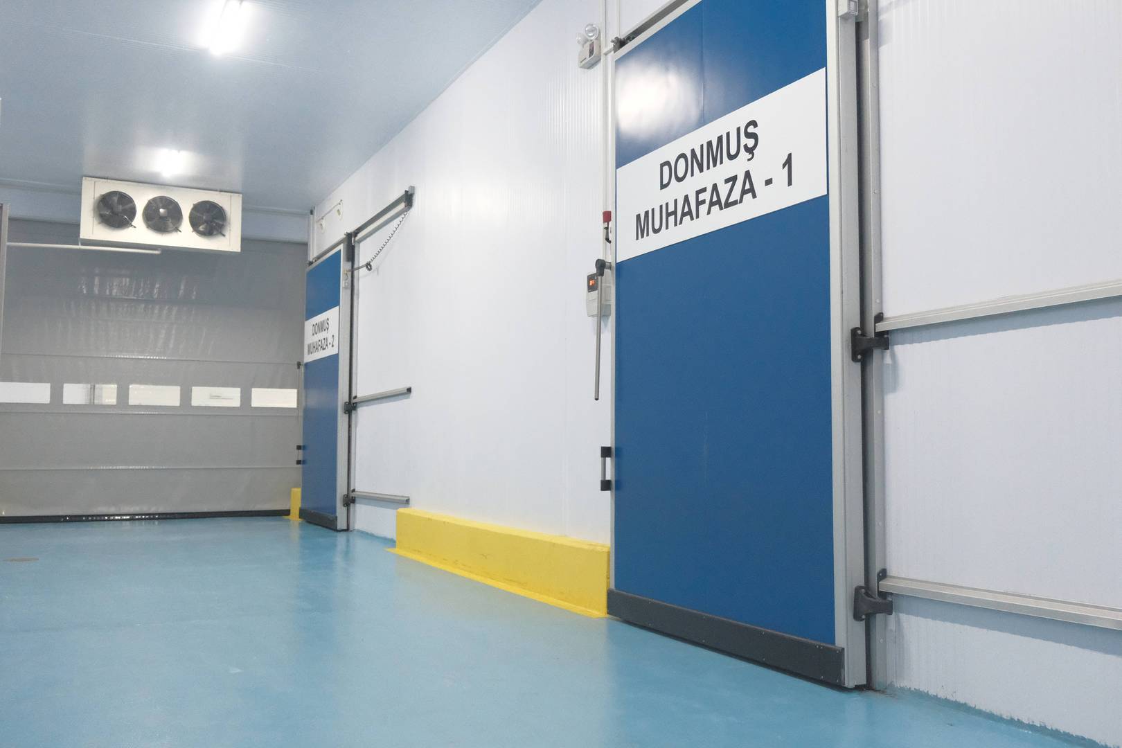 Enlem Balık İşleme Paketleme