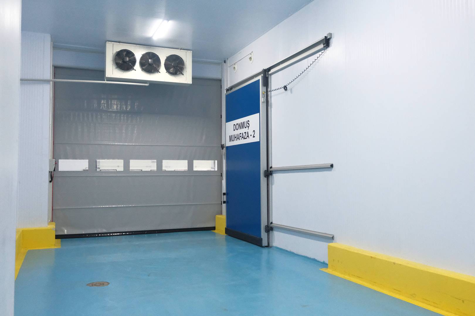 Enlem Balık İşleme Paketleme