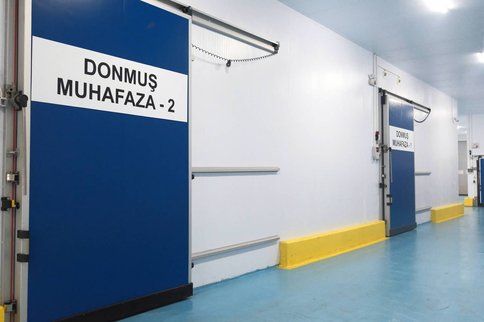 Enlem Balık İşleme Paketleme