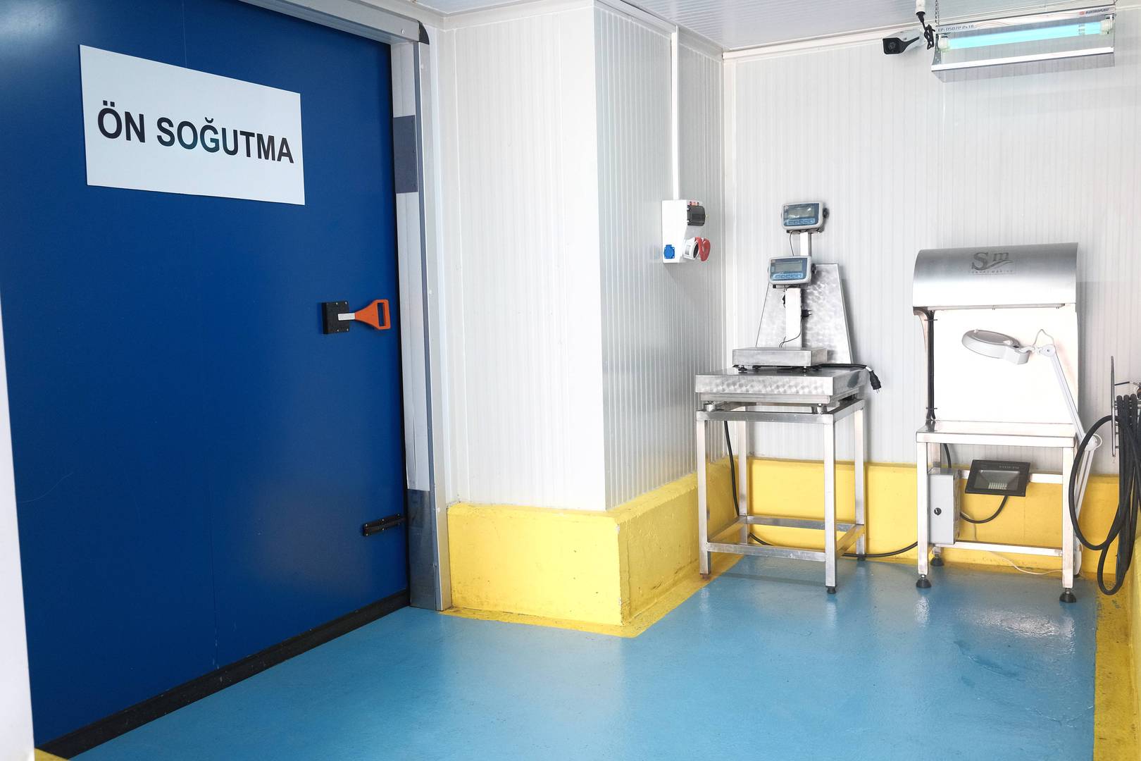 Enlem Balık İşleme Paketleme