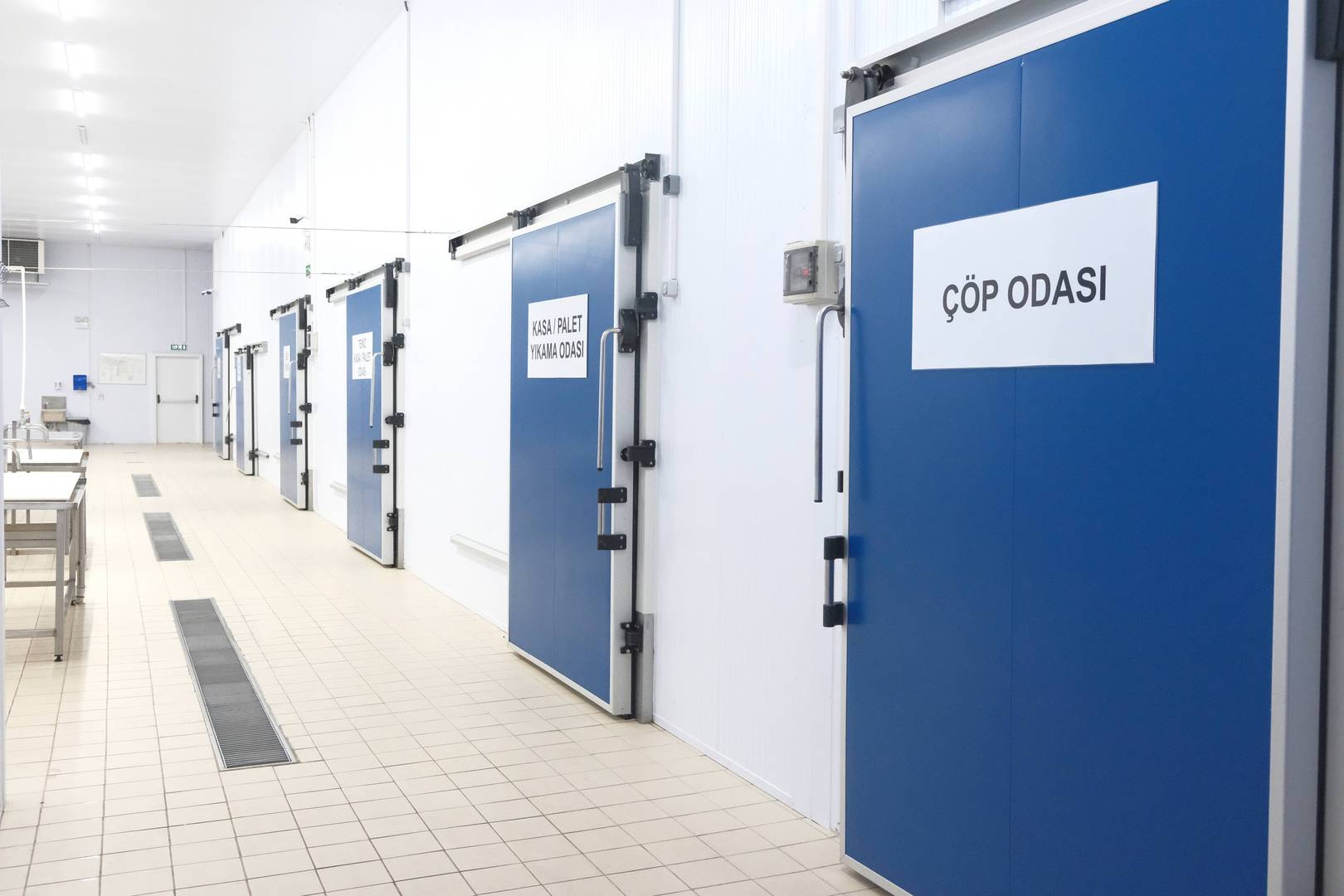 Enlem Balık İşleme Paketleme