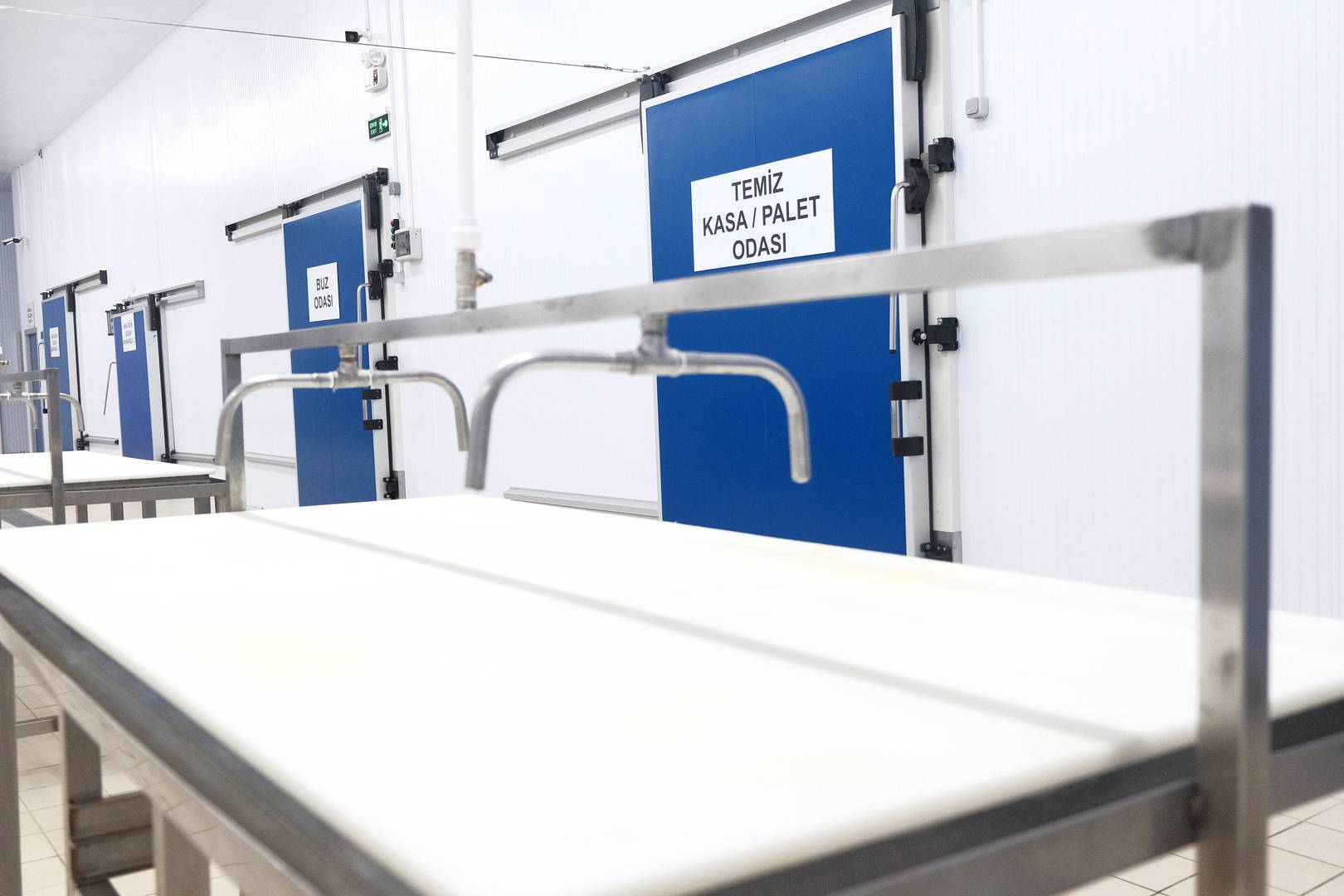 Enlem Balık İşleme Paketleme