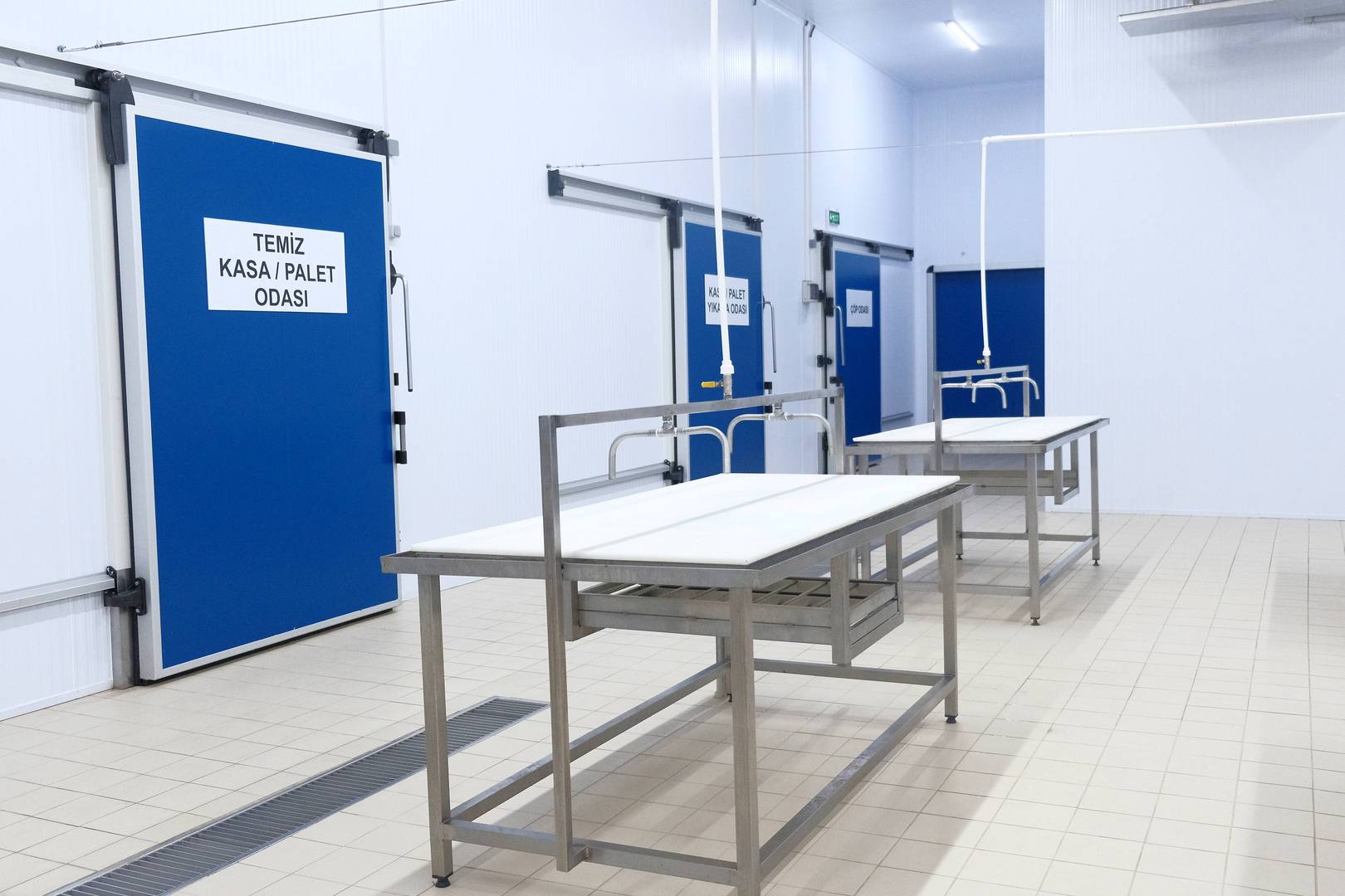 Enlem Balık İşleme Paketleme