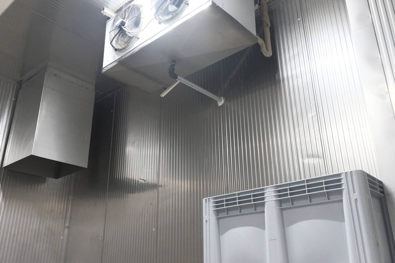 Enlem Balık İşleme Paketleme