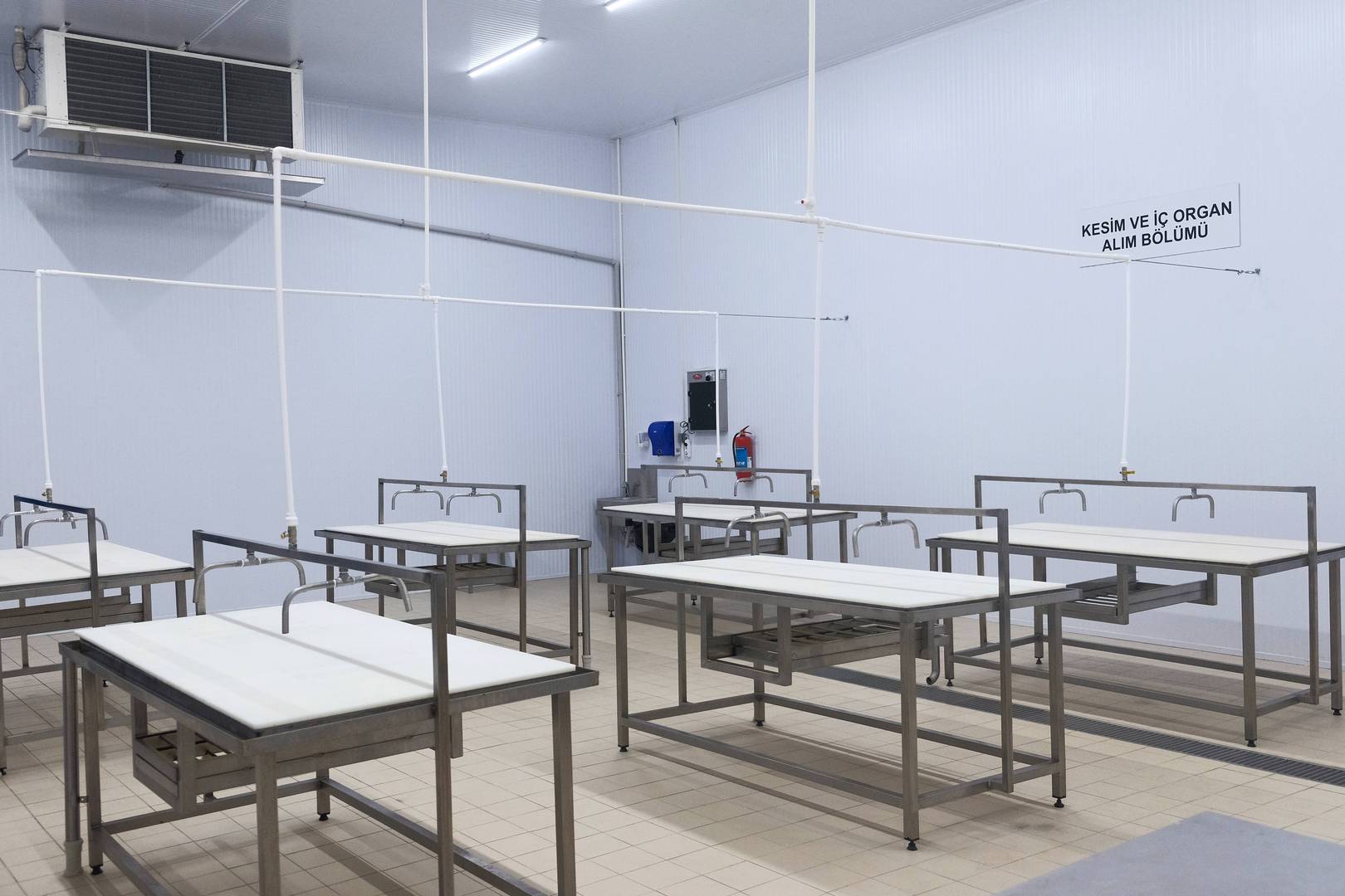 Enlem Balık İşleme Paketleme